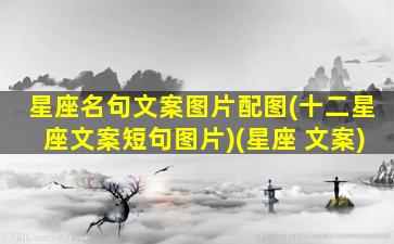 星座名句文案图片配图(十二星座文案短句图片)(星座 文案)